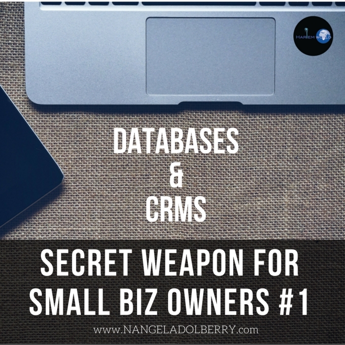 SECRET WEAPON FOR SMALL BIZ OWNERS #1